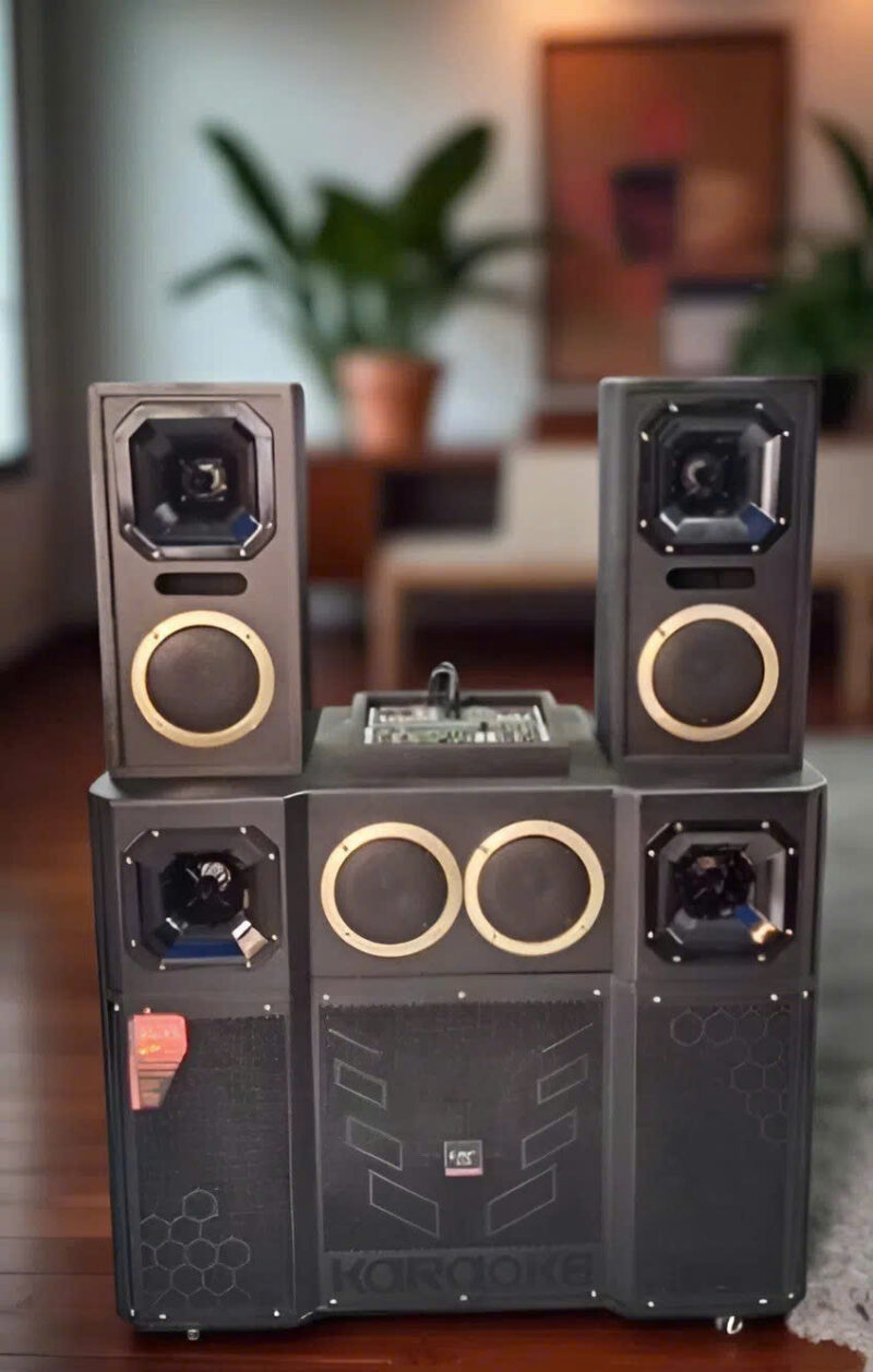 Loa Kéo Mixer 4T Đôi Điện 4 Trung 4 Treble HM-816