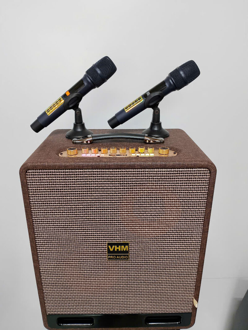 Loa Xách Tay VHM PRO-8102