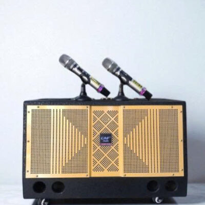 Loa Xách Tay CAF D26