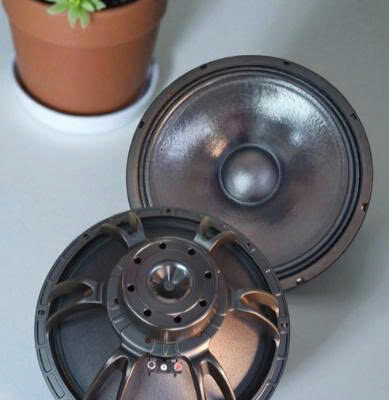 BASS 4T NEO SPEAKERS 15NDL76