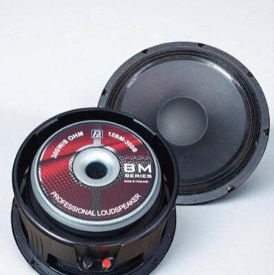 BASS 3T PA 12BM-300B-Z