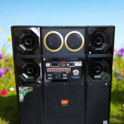 Loa Kéo 4T Đôi Bình 4 Treble Có Trung 4072G-ĐEN