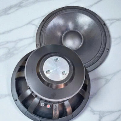 BASS 4T P-15W02V