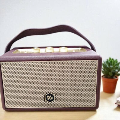 Loa AW-W88