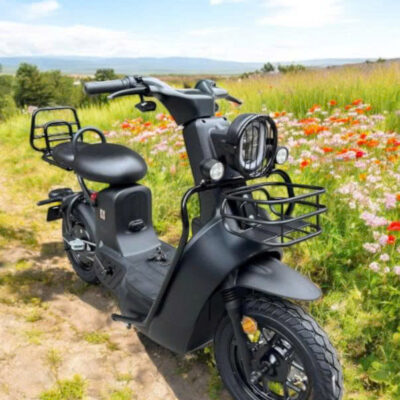 Xe Điện Type 3