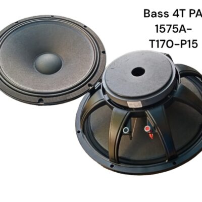BASS 4T PA 1575A-T170-P15-SW
