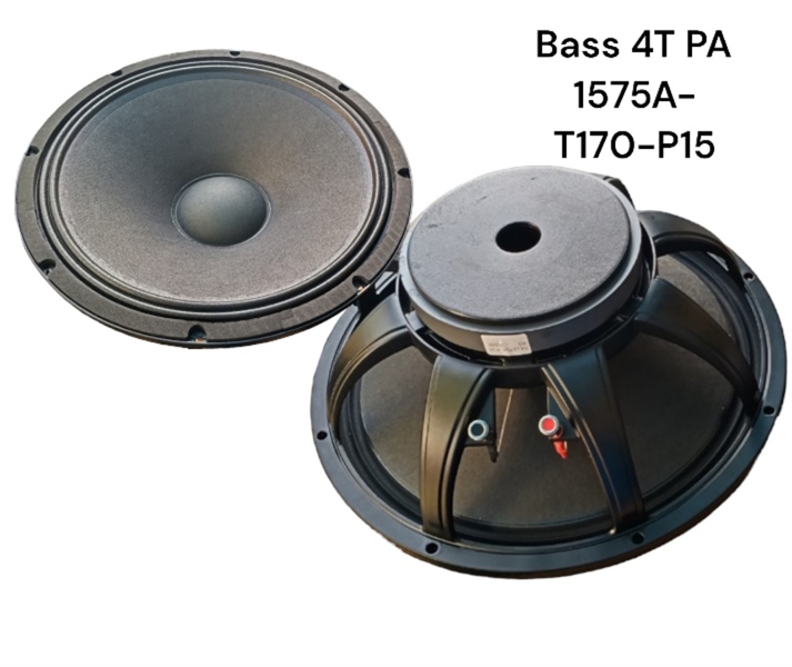 BASS 4T PA 1575A-T170-P15-SW