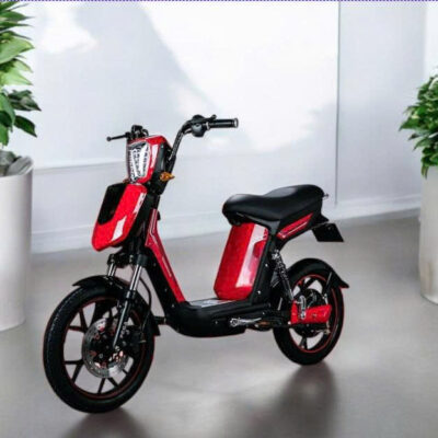 Xe Đạp Điện CAP A E300 VF BIKE