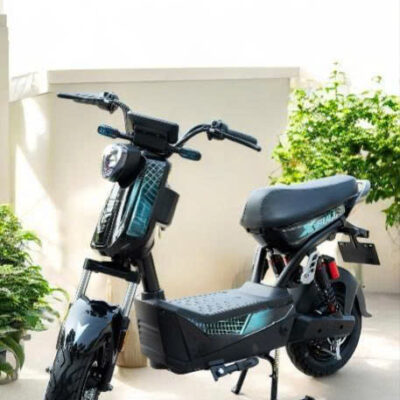 Xe Đạp Điện 133 XBULL