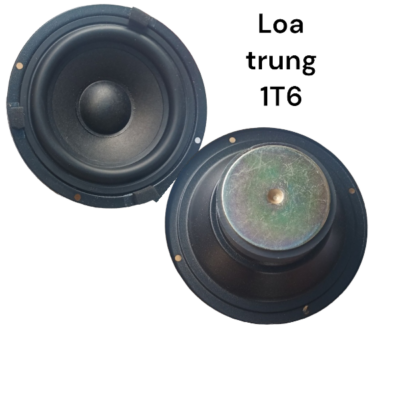 Loa Trung 1T6