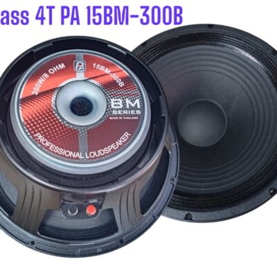 BASS 4T PA 15BM-300B-Z(71)
