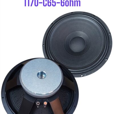 BASS 4T nhôm T170 (1578)