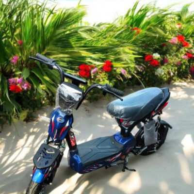 Xe Đạp Điện 133 BĐL