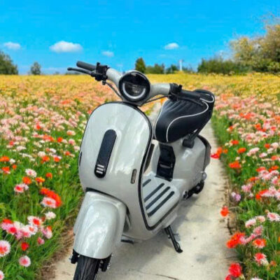 Xe Điện X1