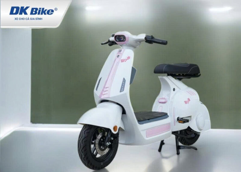Xe Điện DK V1.2Y