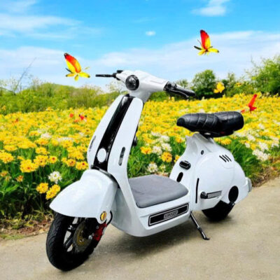 Xe Điện Z3