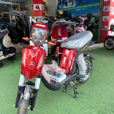 Xe Đạp Điện CAP A E300 VF BIKE