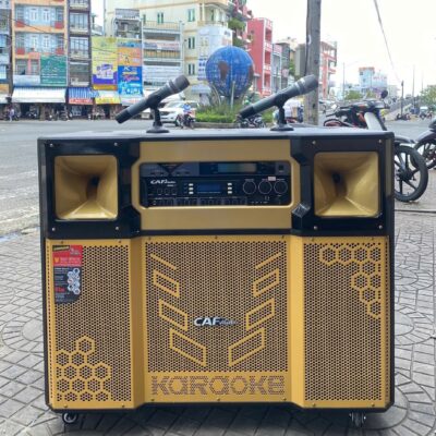 Loa Kéo 4T Đôi Main Liền Vang ADM2.1