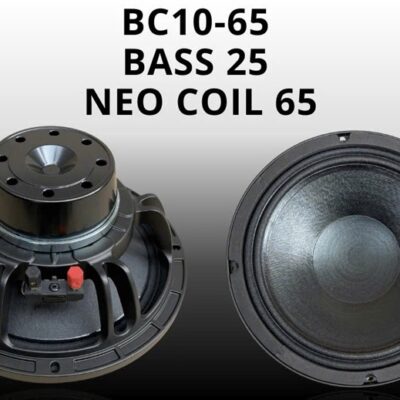 BASS 2T5 NEO BC10-65 (Mũi lõm)