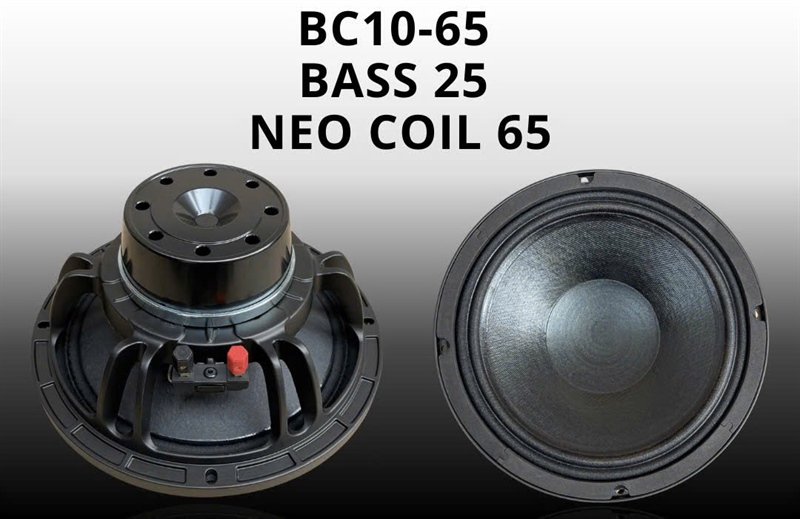 BASS 2T5 NEO BC10-65 (Mũi lõm)